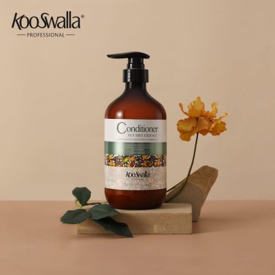 2.conditioner 01 (1)